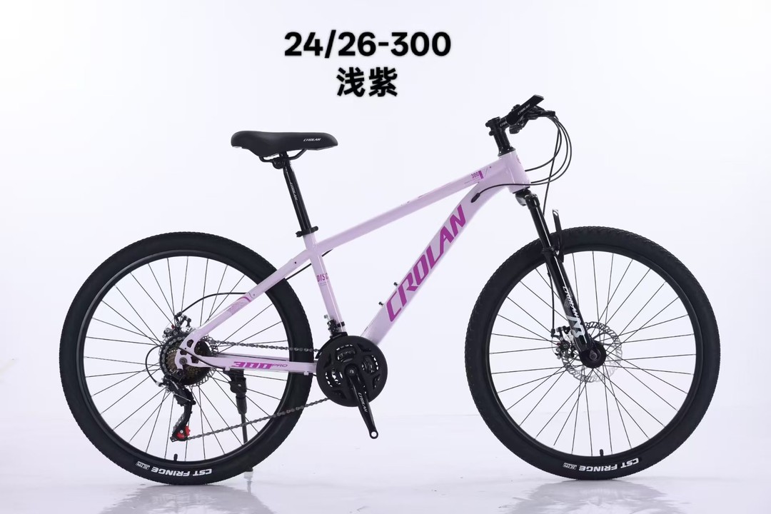 凯罗兰山地自行车 24/26-300